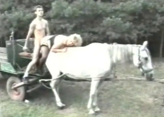 Kinky couple fucking on a horse
