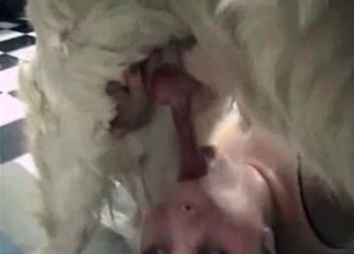 Airedale throat-fucking this hungry slut