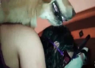Amateur bestiality fucking