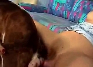 Bowwow pounding a hooker