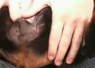 Kinky dog with amateurs