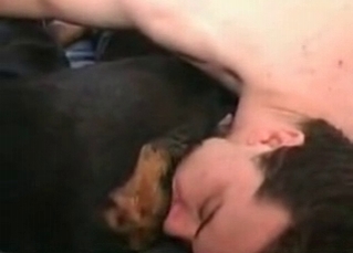 Kinky dog with amateurs