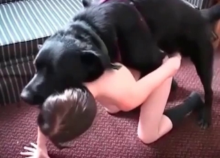 Dog gets the best BJ ever