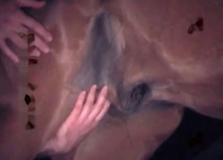 Tempting little horse’s asshole