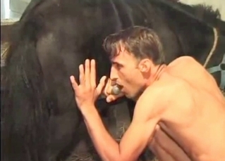 Horse orgasming with that dude’s help
