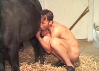 Horse orgasming with that dude’s help