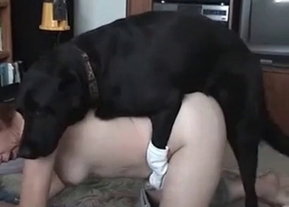 Girl orgasming from mongrel’s tongue