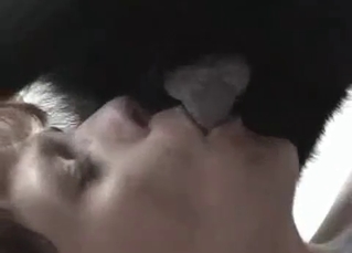Girl orgasming from mongrel’s tongue
