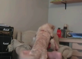 Musician and her slutty dog