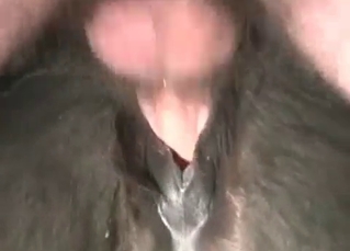Anal sex for a kinky horse