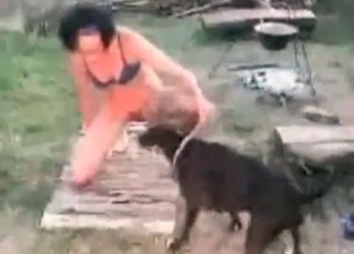 Backyard fuck-fest with animals