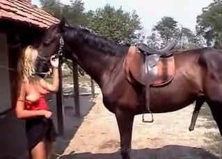 Kinky horse fucking outdoors