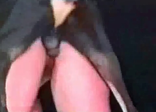 Animals fucking like pornstars