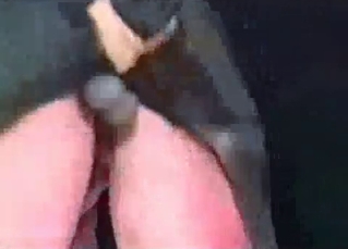 Animals fucking like pornstars