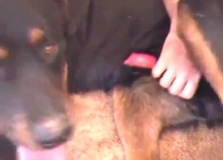 Kinky messy sex with a dog