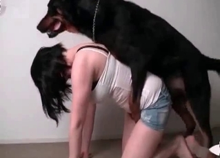 Mutt fucking a tiny chick