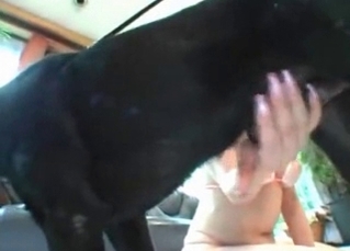 Black mutt pleasuring this beauty