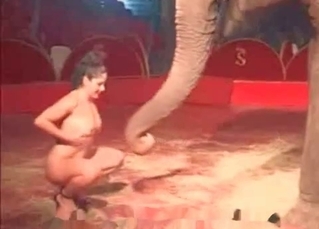 Stripper seducing an elephant