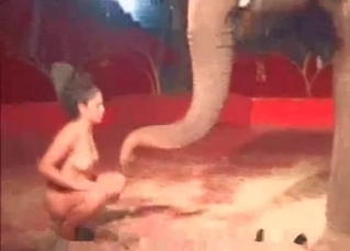 Stripper seducing an elephant