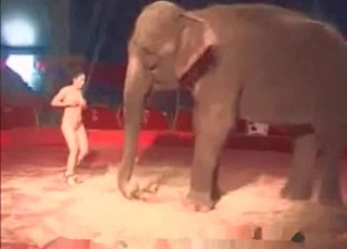Stripper seducing an elephant