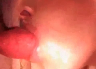 Sexy dog getting a head