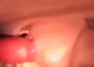 Sexy dog getting a head