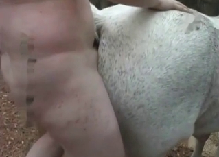 White horse fucking a chubby girl