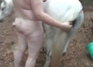 White horse fucking a chubby girl