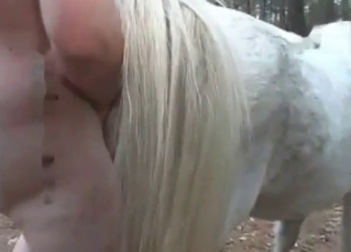White horse fucking a chubby girl