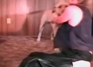Tight pussy destroyed by a dog