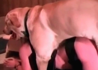 Tight pussy destroyed by a dog