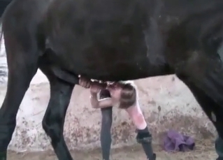 Cute horny slut and a horse