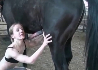 Cute horny slut and a horse