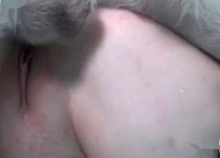Smooth pussy fucked by a dog