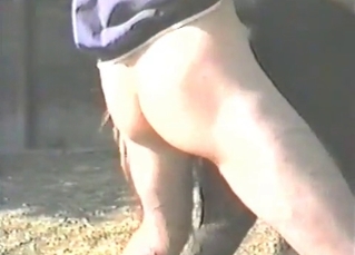 Farm animals fucking with passion