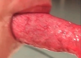 Animal dick serviced by an Asian