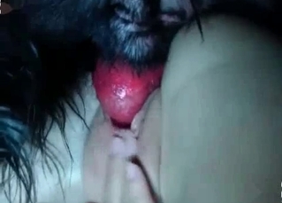 Dog fucking on camera