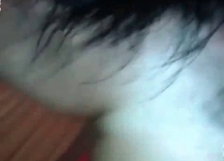 Dog fucking on camera