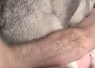 Perverted guy fucking with a dog