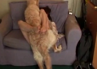 Trained doggy in a threesome