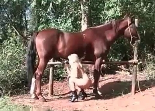 Amazingly innocent chick blowing horse cock
