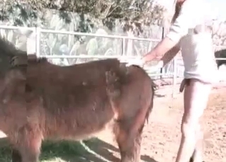 Redhead fucking a cute horse