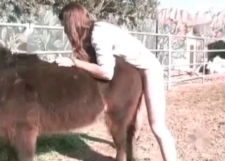 Redhead fucking a cute horse