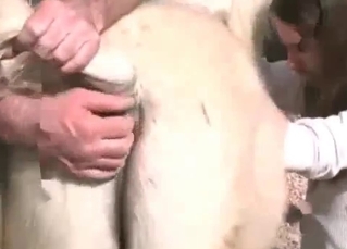 Redhead fucking a cute horse
