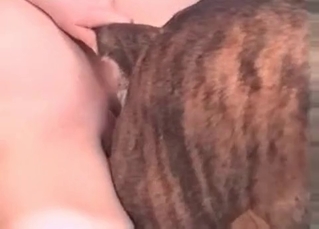 Owner fucking her dog