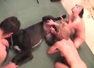 Dog dick sucked off by a blonde