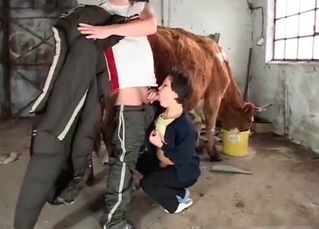 Stallion fucking this classy broad