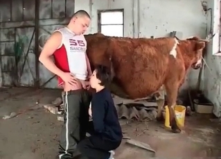 Stallion fucking this classy broad
