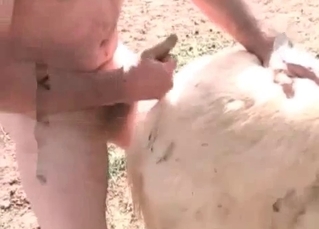 Cute little pony and two zoophile farmers