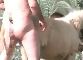 Cute little pony and two zoophile farmers
